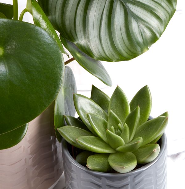 product image gallery_3