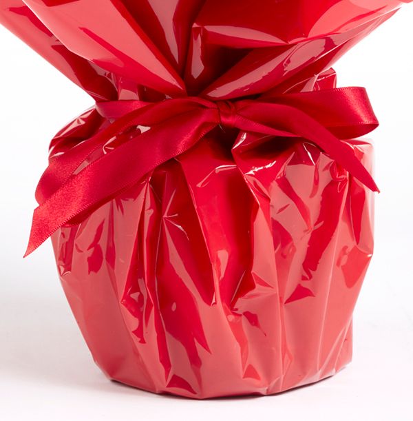 product image gallery_3