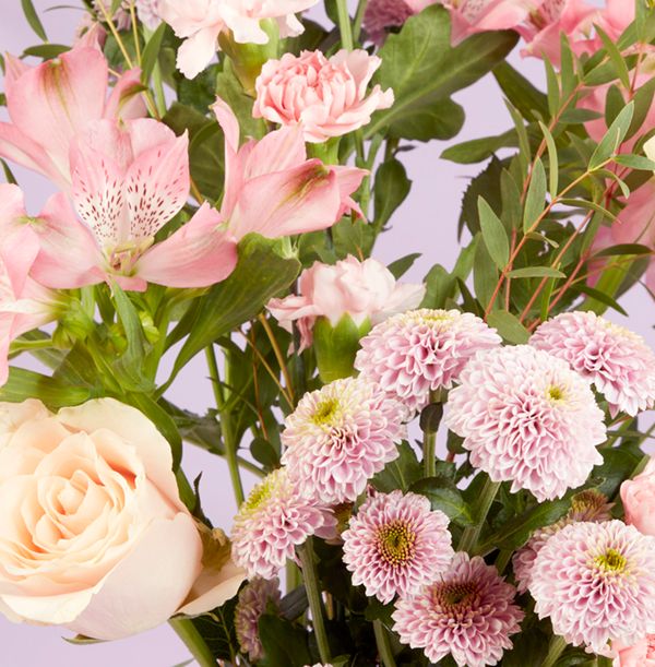 product image gallery_3
