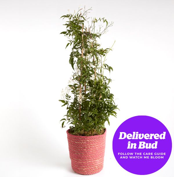 product image gallery_3