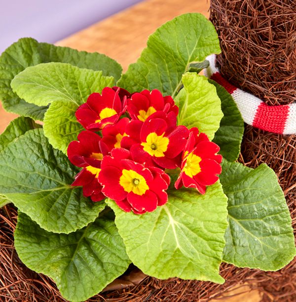 product image gallery_3