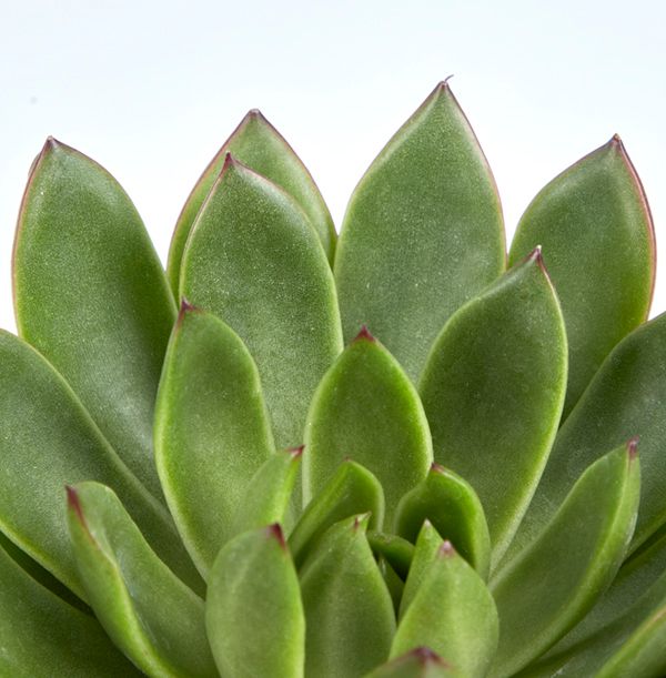 product image gallery_3
