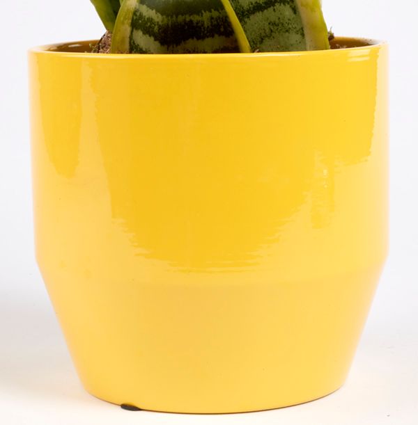 product image gallery_3