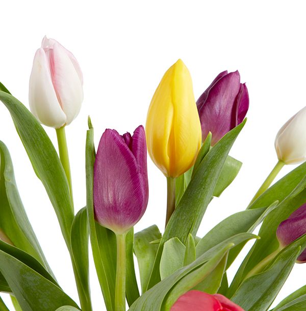 product image gallery_3
