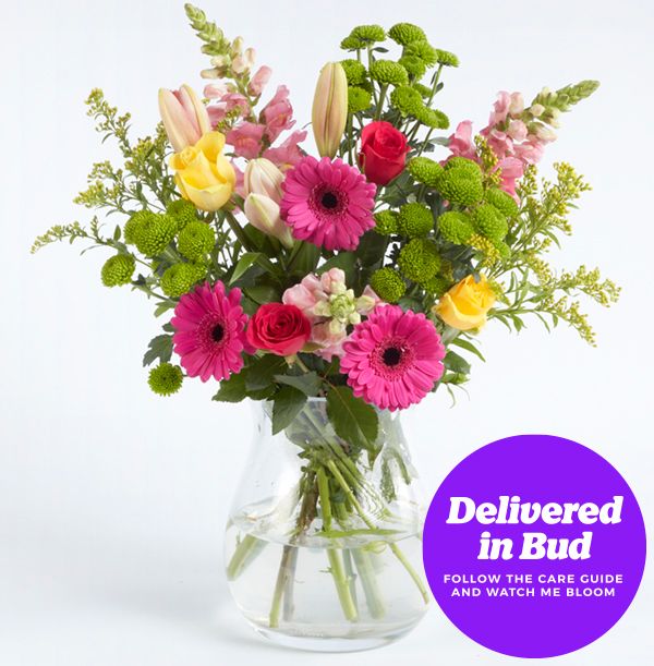 product image gallery_3