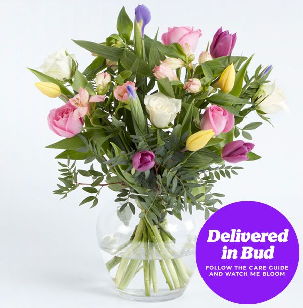 product image gallery_3