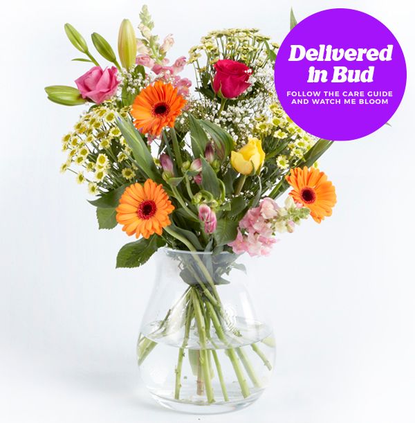 product image gallery_3
