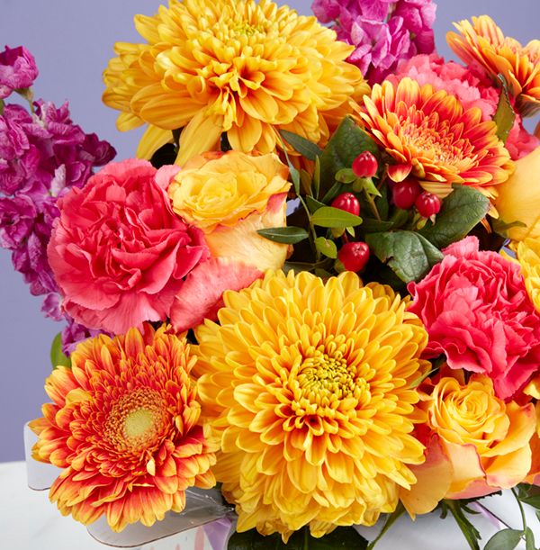 product image gallery_3