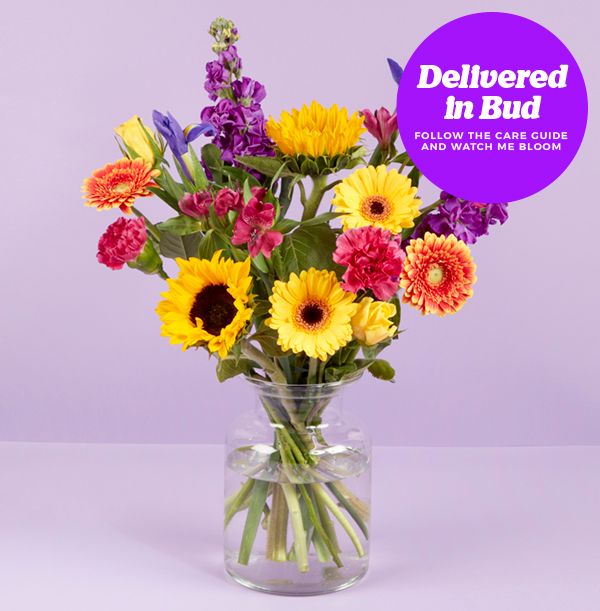 product image gallery_3