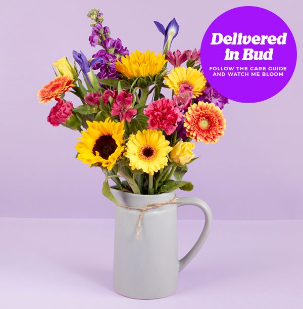 product image gallery_3