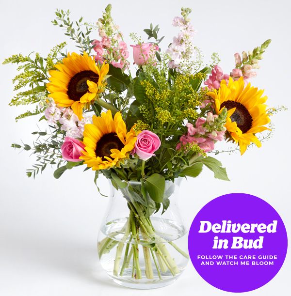 product image gallery_3
