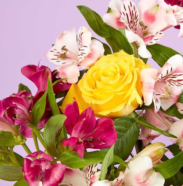 Product image gallery_3