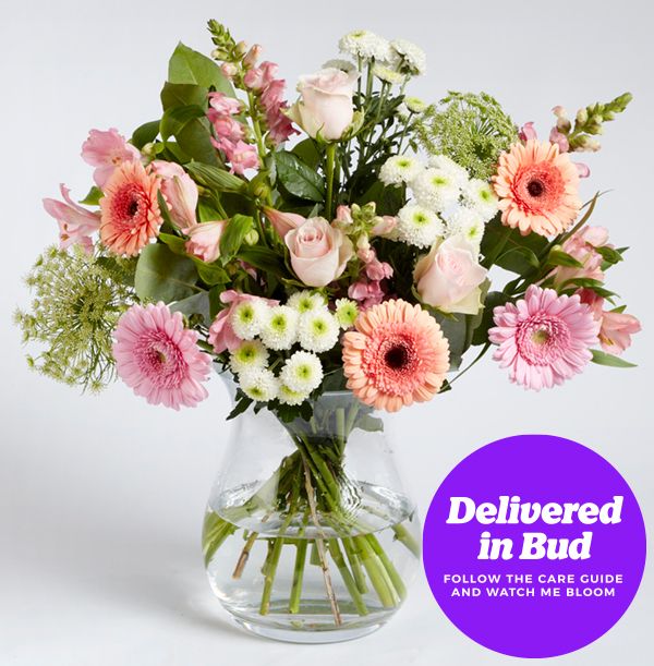 product image gallery_3