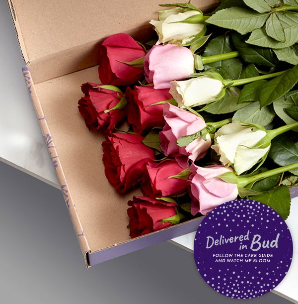 product image gallery_3