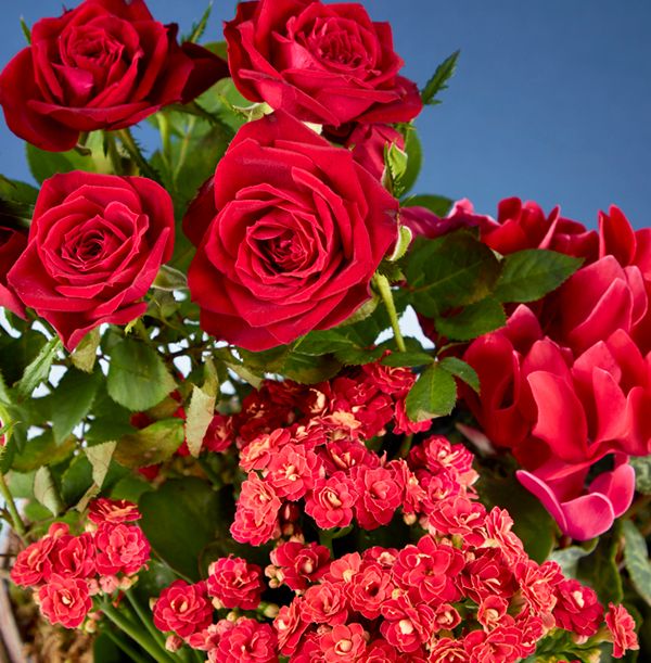 product image gallery_3