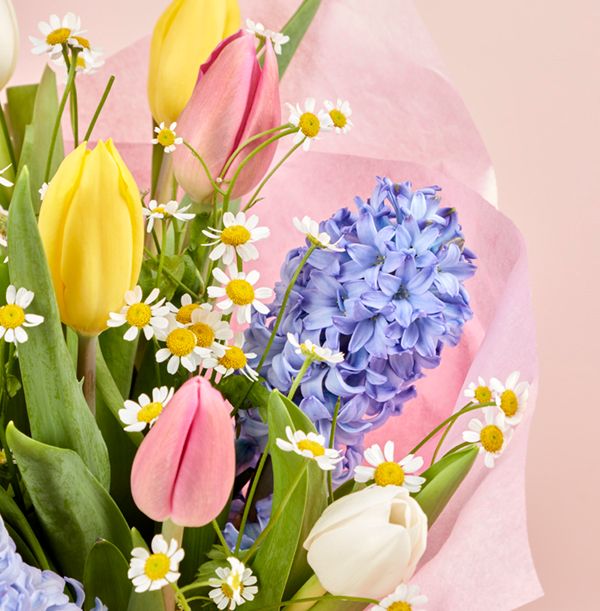 product image gallery_3