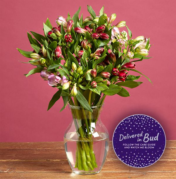 product image gallery_4