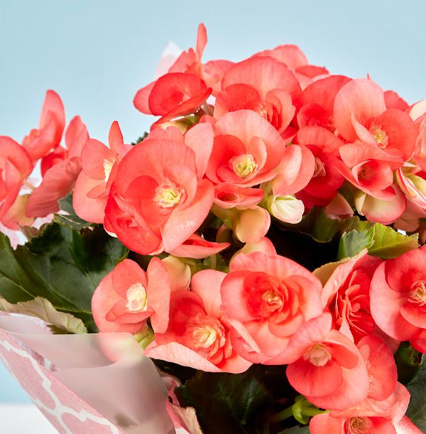 product image gallery_4