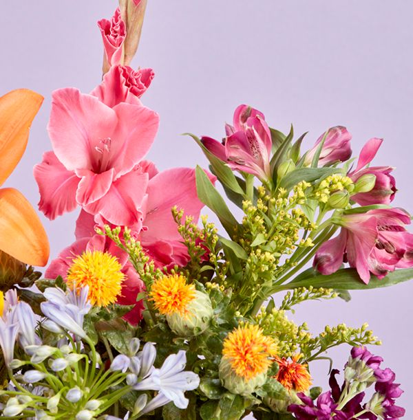 product image gallery_4