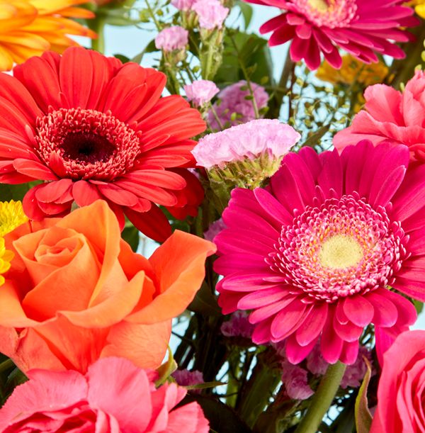 product image gallery_4