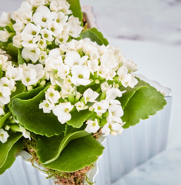 product image gallery_4