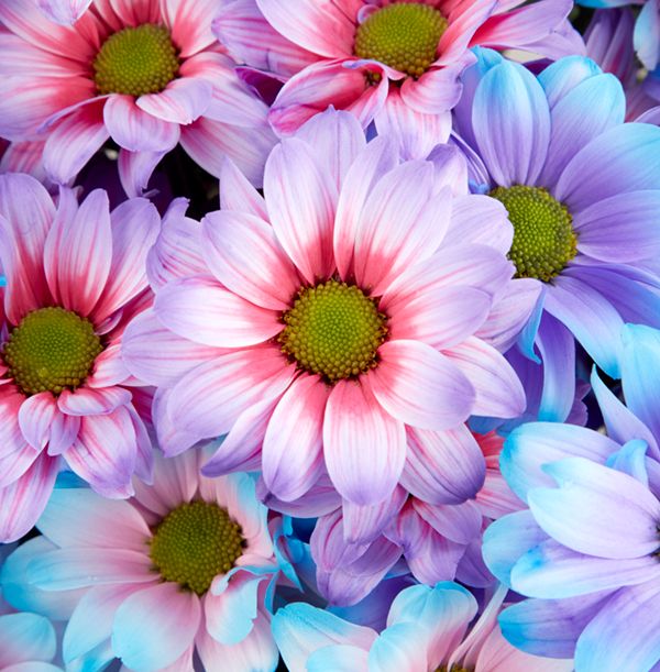 product image gallery_4