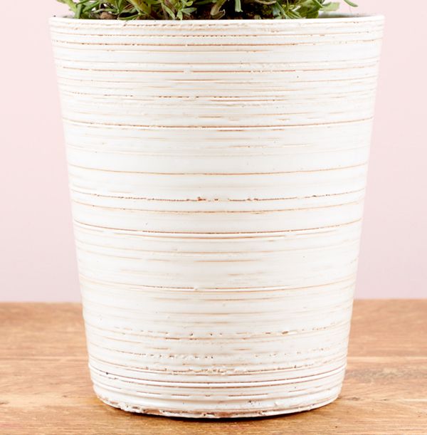 product image gallery_4