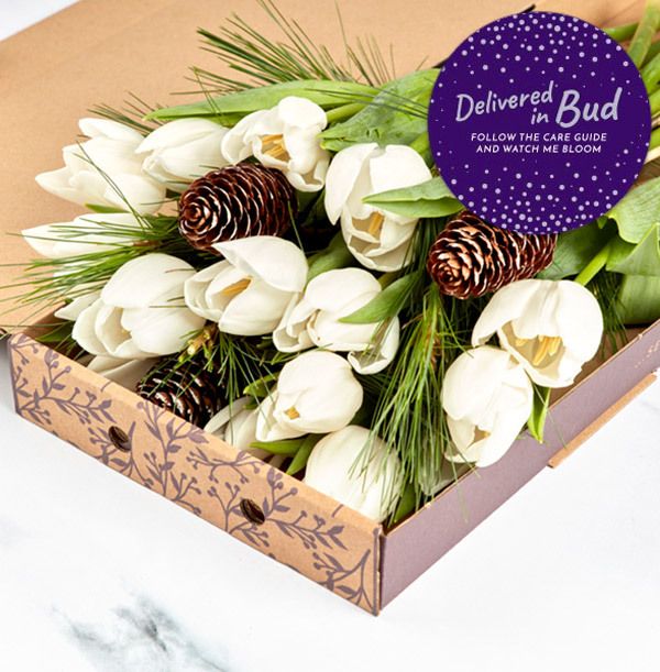 product image gallery_4