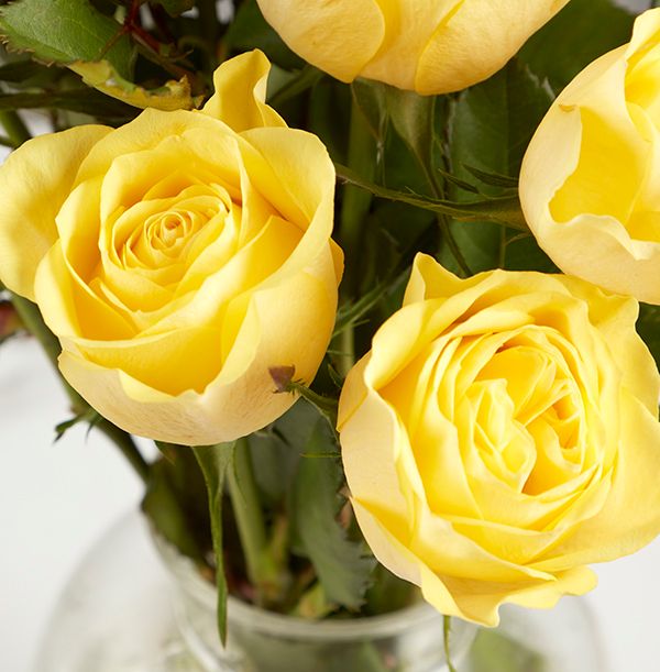 product image gallery_4
