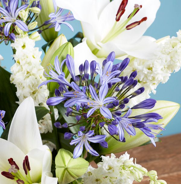 product image gallery_4