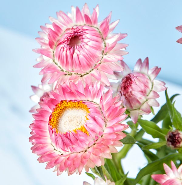 product image gallery_4