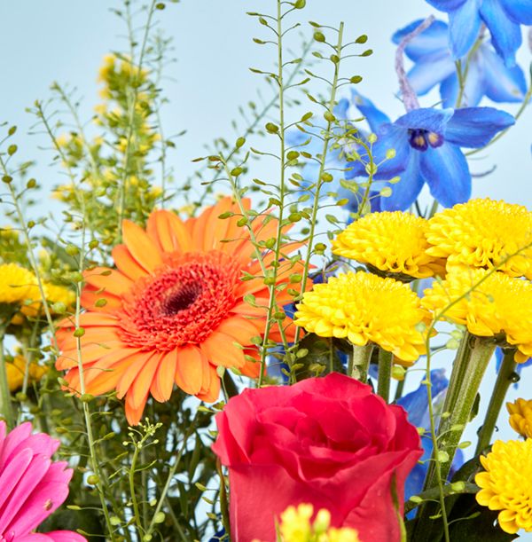 product image gallery_4