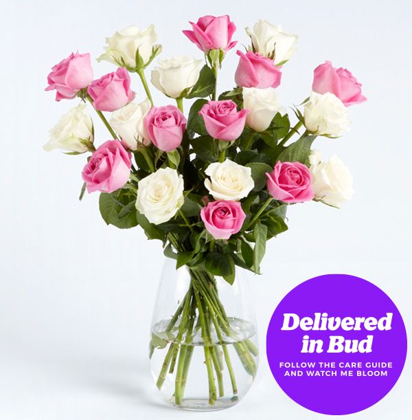 product image gallery_4