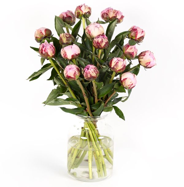 product image gallery_4