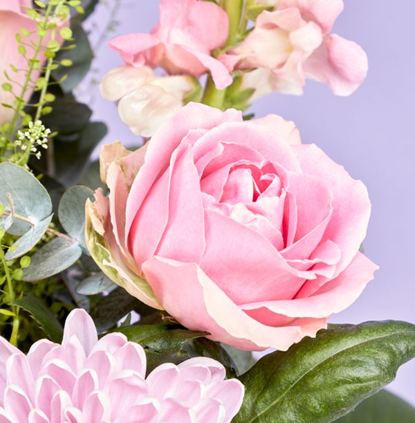 product image gallery_4