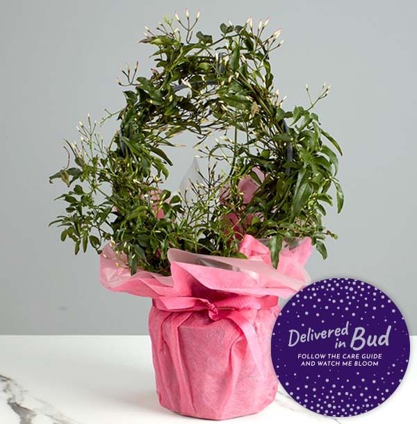 product image gallery_4