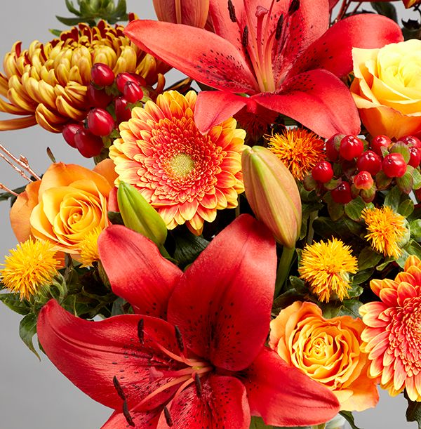product image gallery_4