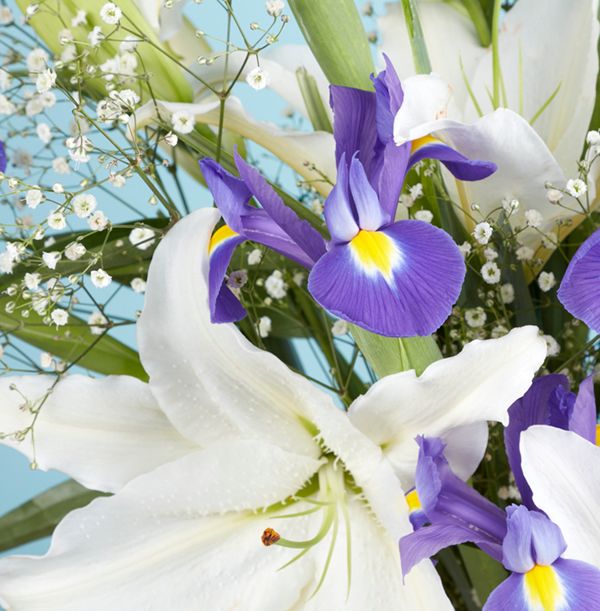 product image gallery_4