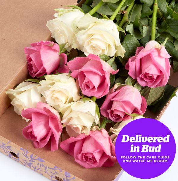 product image gallery_4
