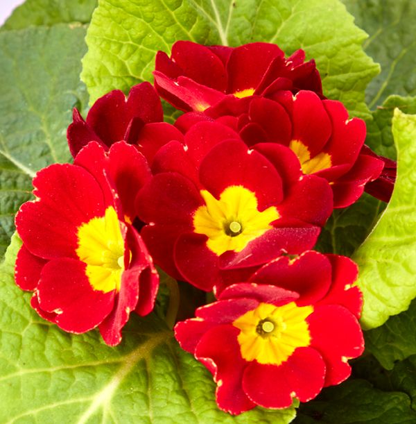 product image gallery_4