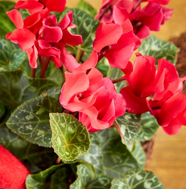 product image gallery_4