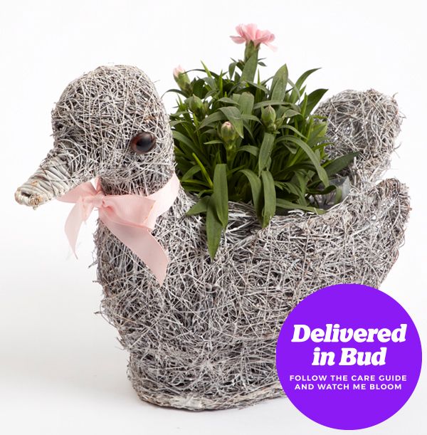 product image gallery_4