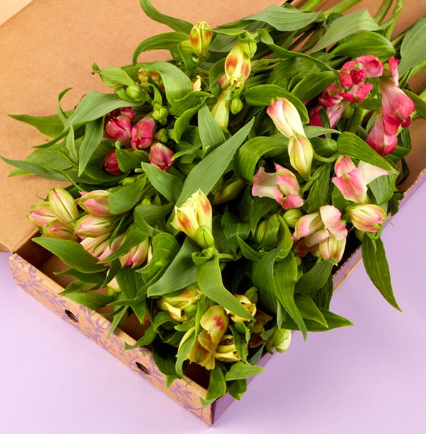 Product image gallery_4