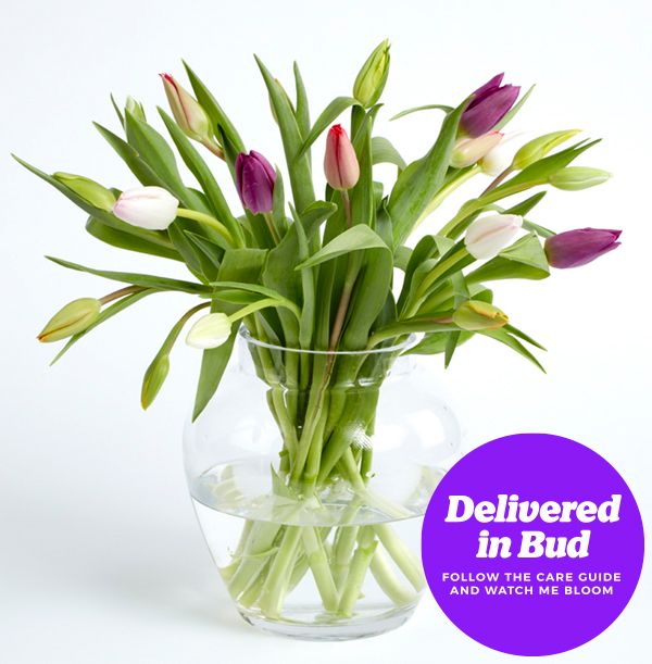 product image gallery_4