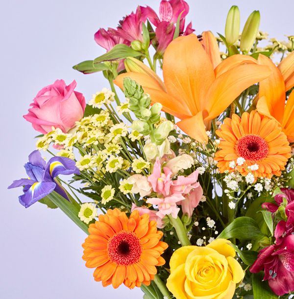 product image gallery_4
