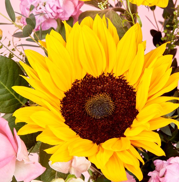 product image gallery_4