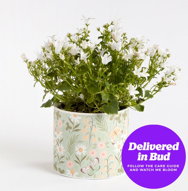 product image gallery_4