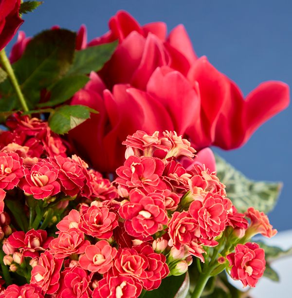 product image gallery_4