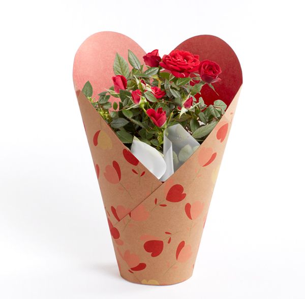 product image gallery_4
