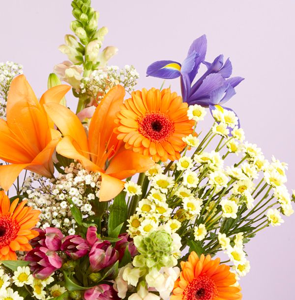 Product image gallery_4